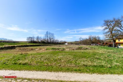 Immobilie kaufen in Wels-Land – 4 271 m², € 135 – Bild 3 von 11