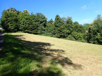 Grundstück kaufen in Jennersdorf – 4 232 m², € 52.000 – Bild 5 von 25