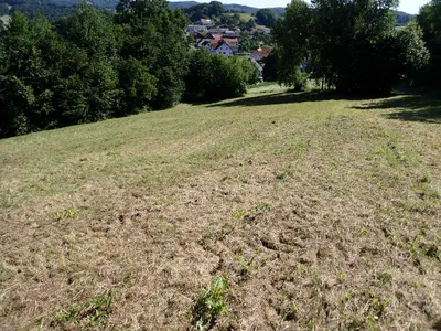 Grundstück kaufen in Jennersdorf – 4 232 m², € 52.000 – Bild 4 von 25