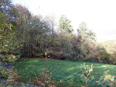 Grundstück kaufen in Jennersdorf – 4 232 m², € 52.000 – Bild 11 von 25