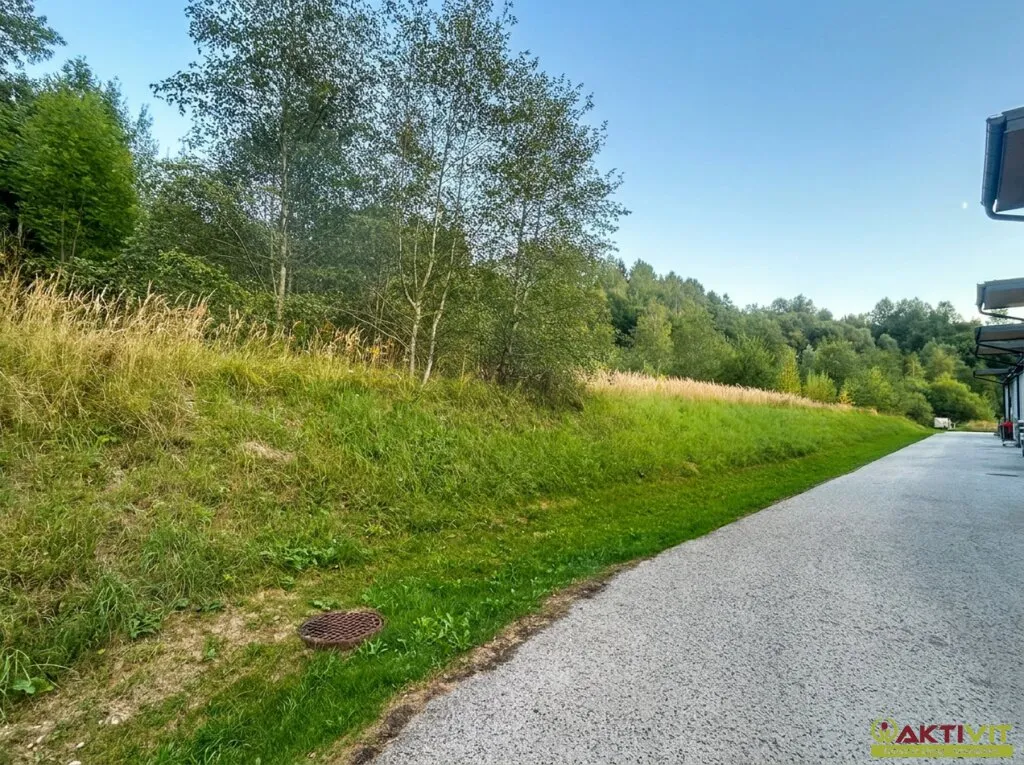 Gewerbestandort mit Potenzial - ca. 4.973 m² in Mürzzuschlag/Hönigsberg-Ost. - Ansicht 2