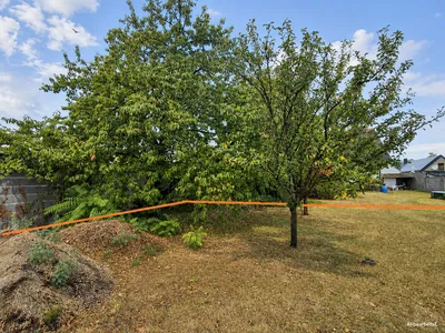 Grundstück kaufen in Neusiedl am See – 600 m², € 234.000 – Bild 4 von 5