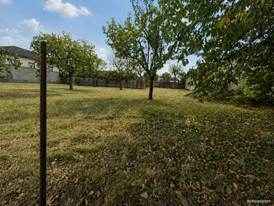 Grundstück kaufen in Neusiedl am See – 600 m², € 234.000 – Bild 3 von 5