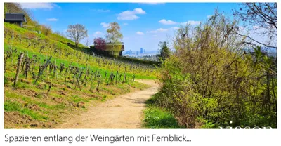 4-Zimmer-Wohnung kaufen in Wien – 150,31 m², € 849.900 – Bild 13 von 79