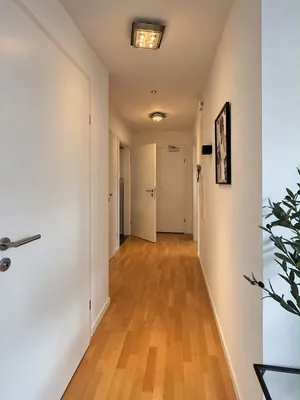 Wohnung zur Miete in 2020 Hollabrunn