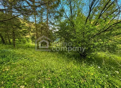 5-Zimmer-Haus kaufen in Baden – 125 m², € 367.000 – Bild 2 von 10