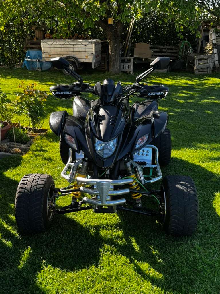Dinli 450 Spezial Quad