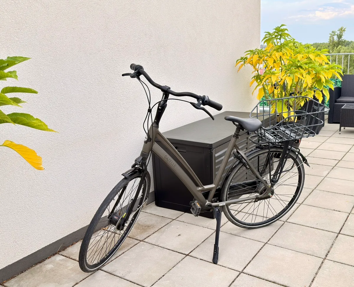 continental reifen mountainbike 2 Fahrrad 2.3 x 29 Zoll Cross King Drahtreifen für MTB Cross E-Bike bis 25km/h Sport & Freizeit Frame:Addison Category:Helmzubehör_Erwachsene Inzopo 2 Stück Profi