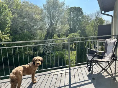 5-Zimmer-Haus kaufen in Baden – 195,16 m², € 1.650.000 – Bild 54 von 72