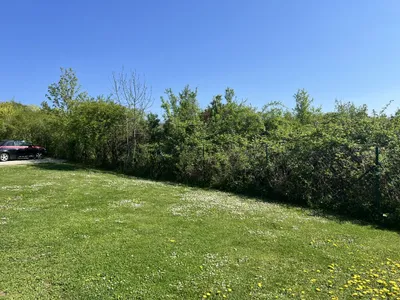 5-Zimmer-Haus kaufen in Baden – 195,16 m², € 1.650.000 – Bild 7 von 72