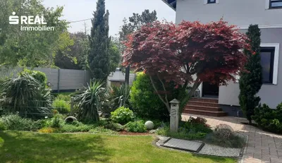 7-Zimmer-Haus kaufen in Wien – 183 m², € 895.000 – Bild 28 von 33