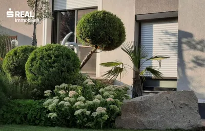 7-Zimmer-Haus kaufen in Wien – 183 m², € 895.000 – Bild 26 von 33