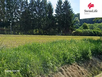 Grundstück kaufen in Jennersdorf – 8 906 m² – Bild 4 von 10