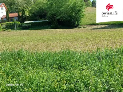 Grundstück kaufen in Jennersdorf – 8 906 m² – Bild 5 von 10