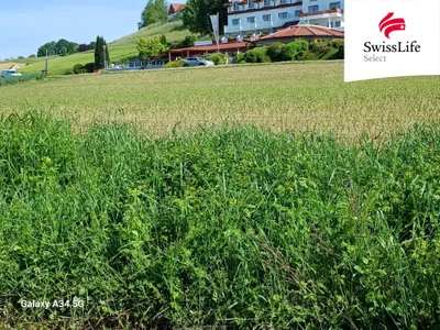 Grundstück kaufen in Jennersdorf – 8 906 m² – Bild 6 von 10
