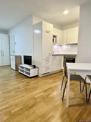 1-Zimmer-Wohnung mieten in Wien – 31,27 m², € 749 – Bild 8 von 19