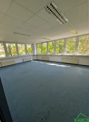 Gewerbeimmobilie mieten in Wien – 595 m², € 6.007 – Bild 4 von 12