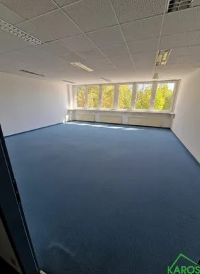 Gewerbeimmobilie mieten in Wien – 595 m², € 6.007 – Bild 2 von 12