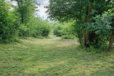 Grundstück kaufen in Korneuburg – 5 046 m², € 850.000 – Bild 3 von 6