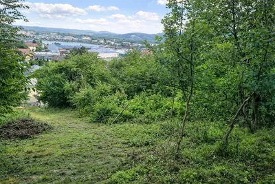 Grundstück kaufen in Korneuburg – 5 046 m², € 850.000 – Bild 2 von 6