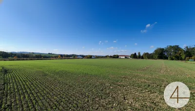 4-Zimmer-Haus kaufen in Ried im Innkreis – 120 m², € 430.000 – Bild 7 von 10