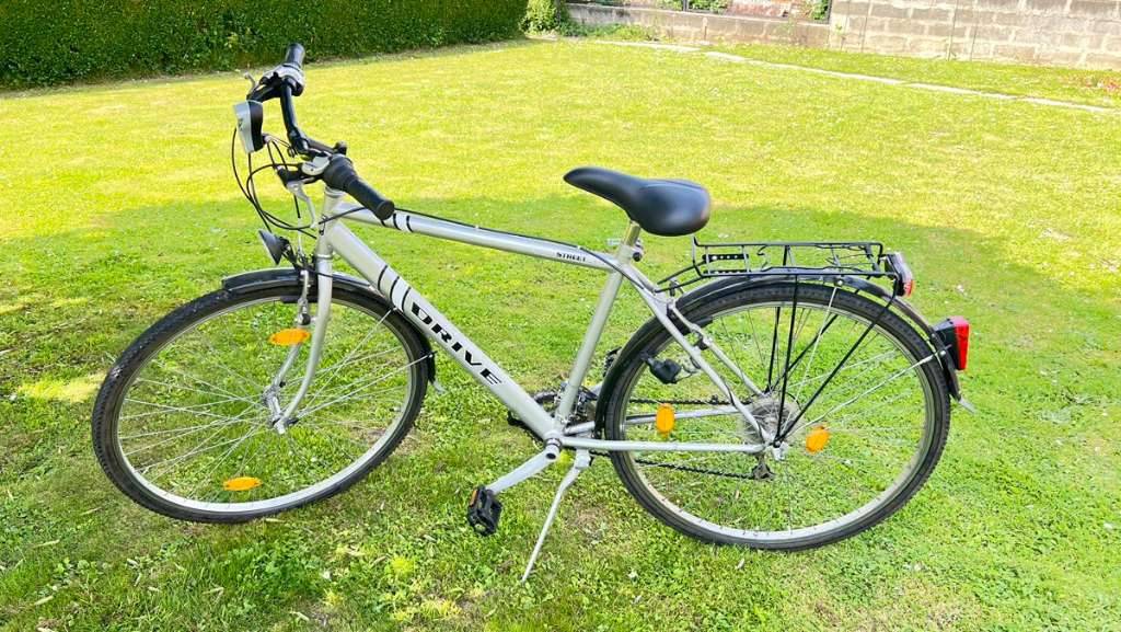 hundeanhänger fahrrad xxl Hundeanhänger fürs Fahrrad: Leicht, Robust, Dynamisch – VEOLO main image 1