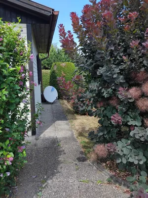1-Zimmer-Haus kaufen in Eisenstadt - Umgebung – 17 m², € 25.000 – Bild 8 von 24