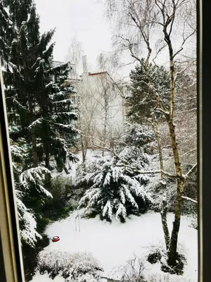 2-Zimmer-Wohnung mieten in Wien – 55 m², € 990 – Bild 12 von 13