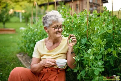 Immobilie mieten in Graz – 300 m², € 150 – Bild 8 von 10