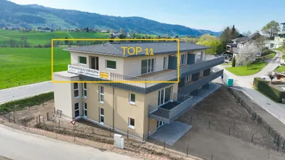 Top 11