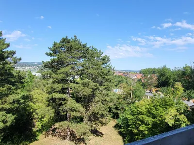 5-Zimmer-Wohnung kaufen in Mödling – 124 m², € 320.000 – Bild 2 von 14