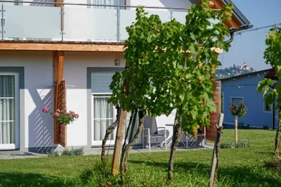 6-Zimmer-Haus kaufen in Südoststeiermark – 495,95 m² – Bild 4 von 20