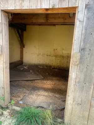 Grundstück kaufen in Sankt Veit an der Glan – 27 000 m², € 249.000 – Bild 9 von 12