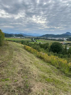 Grundstück kaufen in Sankt Veit an der Glan – 27 000 m², € 249.000 – Bild 2 von 12