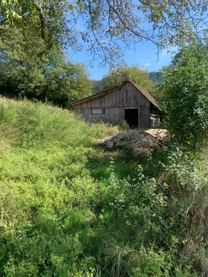 Grundstück zum Kauf in 9300 Sankt Veit an der Glan