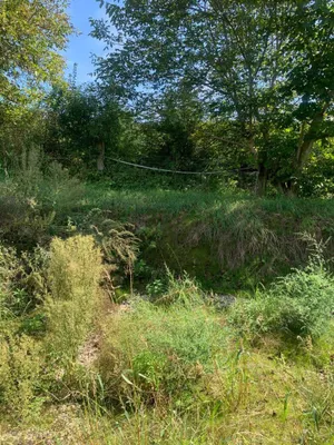 Grundstück kaufen in Sankt Veit an der Glan – 27 000 m², € 249.000 – Bild 11 von 12