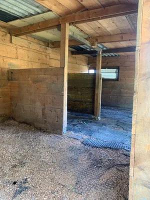 Grundstück kaufen in Sankt Veit an der Glan – 27 000 m², € 249.000 – Bild 4 von 12