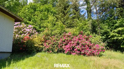 4-Zimmer-Haus kaufen in Schärding – 115 m², € 175.000 – Bild 3 von 13