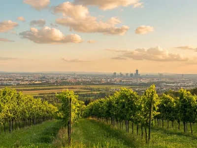 Grundstück kaufen in Wien – 517 m², € 415.000 – Bild 7 von 8