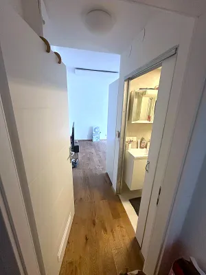 Provisionsfreie, neu sanierte 1-Zimmer-Wohnung (31 m²), inkl. Parkplatz, nähe Matzleinsdorferplatz – Bild 3