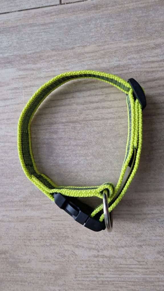 Julius K9 Color & Gray Halsband neongelb ,  5,- (2431 Enzersdorf an der  Fischa) - willhaben