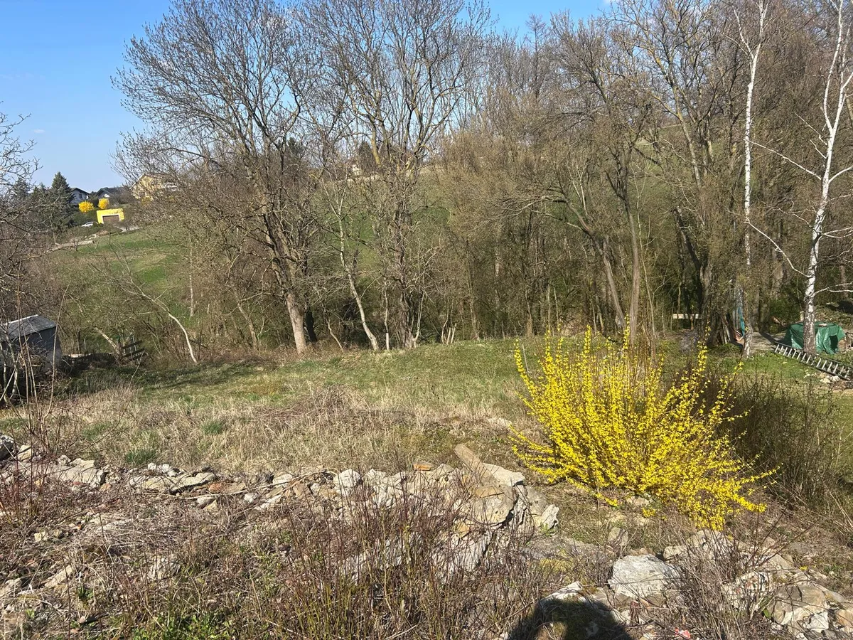 Hanggrundstück inkl. Kleinwald - Ansicht 2