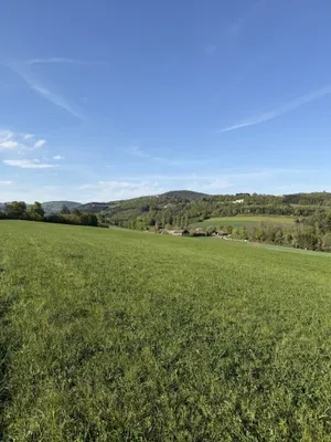 Grundstück kaufen in Oberwart – 210 365 m² – Bild 7 von 10