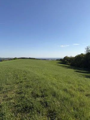 Grundstück kaufen in Oberwart – 210 365 m² – Bild 4 von 10