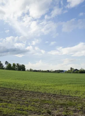 Grundstück kaufen in Oberwart – 210 365 m² – Bild 10 von 10
