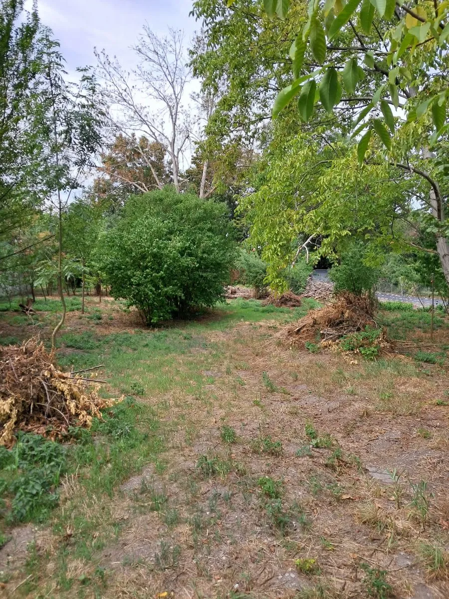 Großes Grundstück im Herzen von Wiener Neustadt