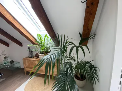 4-Zimmer-Wohnung mieten in Steyr-Land – 100 m², € 1.297 – Bild 19 von 20