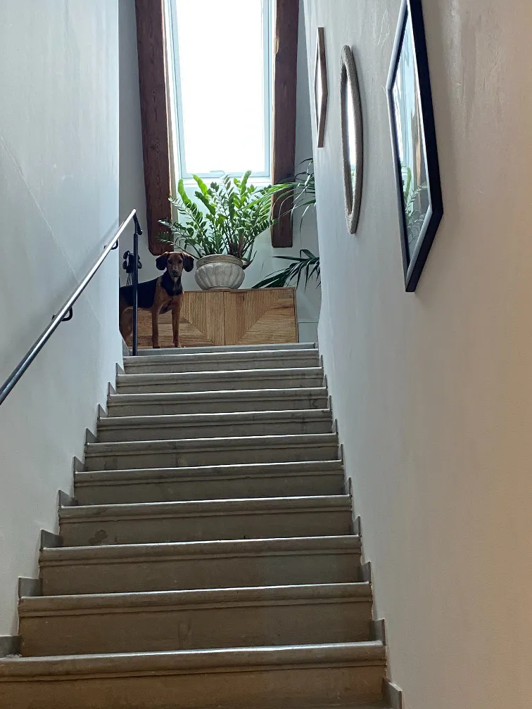 Wohnung – Neuzeug - Ansicht 3