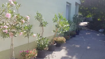 4-Zimmer-Haus kaufen in Neusiedl am See – 110 m², € 249.000 – Bild 13 von 19