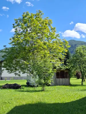 8-Zimmer-Haus kaufen in Liezen – 202 m², € 599.000 – Bild 15 von 66